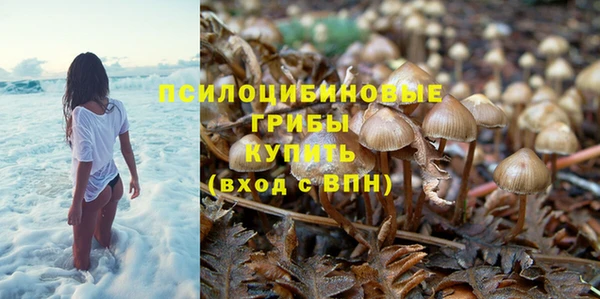 мяу мяу мука Баксан