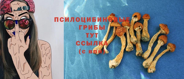 каннабис Белокуриха